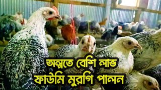 ফাউমি মুরগির প্রজেক্ট। Fawmi Hen Farming Project [upl. by Pearman271]