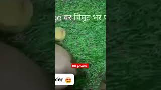 Homemade product hd powder viralshort video viralvideo comment subscribe yourpage [upl. by Hamon]