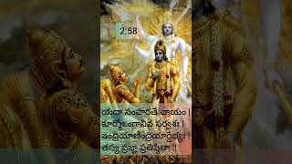 Bhagavat geeta in telugu🕉️258 slokam in telugubhagavadgitabhagavadgitaslokasinteluguslokalu [upl. by Alyar]