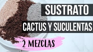 COMO PREPARAR SUSTRATO PARA CACTUS Y SUCULENTAS 2018  2 TIPOS DE MEZCLA [upl. by Arahsak339]