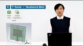 CST STUDIO SUITE Tutorial 41  Hexahedral Mesh  TSolver [upl. by Thalassa]