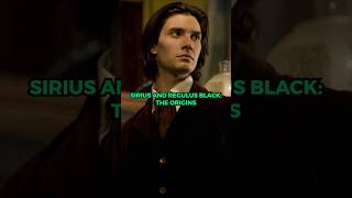 Regulus and Sirius 🌠regulusblack harrypotter siriusblack blackfamily wizardingworld slytherin [upl. by Jelle]