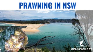 Prawning in NSW is very different from QLD [upl. by Yerbua]