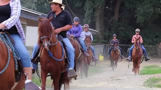 Ringstead Ranch Peruvian Horses in Canada [upl. by Nnad610]