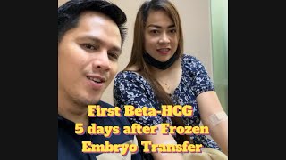 First Beta HCG 5 days after Frozen Embryo Transfer  POSITIVE  Kato Repro Biotech Center ❤️ [upl. by Celia655]