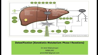 Xenobiotic Metabolism  Detoxification  Phase I Reactions  Biochemistry  Part 01 [upl. by Rammus243]