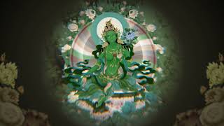 Mantra di Tara Verde Guru Purnima 2024 [upl. by Leelaj]