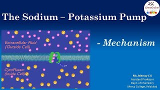 Sodium  Potassium Pump  with animation [upl. by Nosneh]