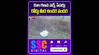 Caste Census Survey Papers On Roads  కులగణన సర్వే  Shorts Sscdigital Balannamuchatlu [upl. by Ahsennek]