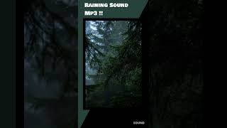 Raining Sound Mp3 [upl. by Webb313]