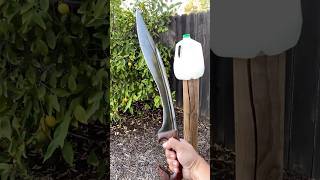 Falcata Sword Sharpness Test [upl. by Otipaga]