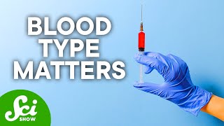 The Pros amp Cons of Your Blood Type [upl. by Tortosa937]