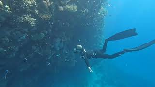 Dahab Lighthouse Freediving [upl. by Oman]