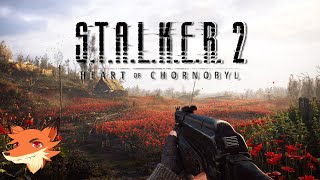 STALKER 2  LIVE  Ca y est On part explorer la zone dexclusion de Chronobyl [upl. by Beret]