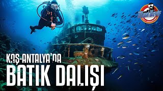 Batık Gemiye Dalış Yaptık  KaşAntalyada Tüplü Dalış [upl. by Arateehc]