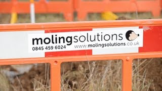 Moling Solutions [upl. by Matti]