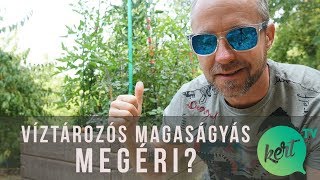 Víztározós magaságyás megéri  2 hónappal később [upl. by Bergquist]