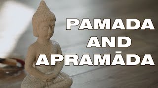 Dharma Talk 🙏 Negligence And Heedfulness Pamada And Appamada [upl. by Hally]