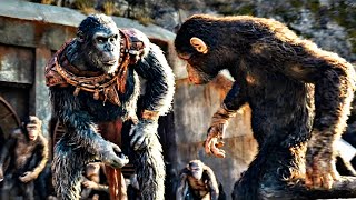 Kingdom of the Planet of the Apes 2024 Film Explained Story Summarize [upl. by Nnaeirrac]