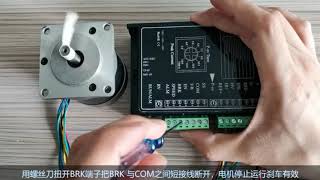 BLDC Motor Driver BRK and ENA start and stop mode switch [upl. by Einobe]