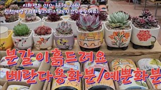 대박가격꽃화분사각베트남산분갈이흙드려요 이화랜드01033392461 나는농부다282회출연 [upl. by Nuriel]