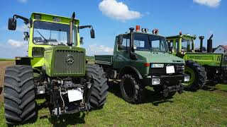 MB Trac  Oldtimertreffen Hellring 2024 [upl. by Aihsei]