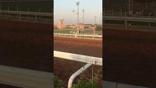 Jockey club Saudi Arabia morning working time [upl. by Crichton748]