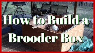 How to Build a Homemade Brooder Box that will last for years on your homestead [upl. by Liss421]