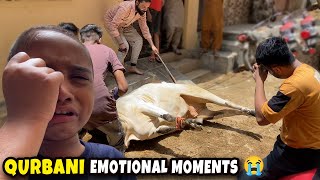 Qurbani Emotional Moment 😭 Eid Ul Adha Emotional Video ❤️ Fahad Bhai Official [upl. by Dalila891]