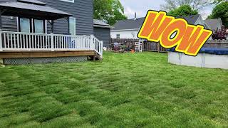 Wonderful Sod job and Ventrac power rake [upl. by Aifoz]