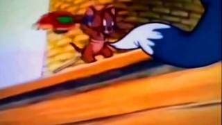 Tom amp Jerry Full Episodes IN Bangla Tom amp Jerry Cartoon HD [upl. by Asiram]