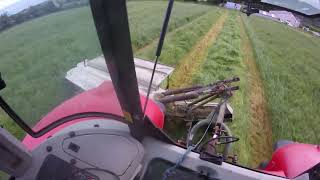 Mowing Silage  Massey 6465 [upl. by Onibla]