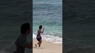 Baby Monk Seal  One Week Old  Getting in the Water for the Time  Then it Catches a Wave monkseal [upl. by Nowyt]