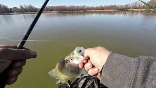 crappie fishing Millwood lake Arkansas [upl. by Barrus332]