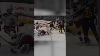 Up and Over Max Comtois pots rebound vs Grand Rapids Griffins hockeyhighlights hockey [upl. by Pittman]