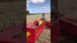 Hay Baling 2021  Welger AP45 [upl. by Kannan]