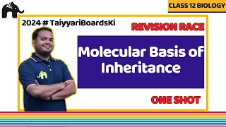 Molecular Basis of Inheritance Class 12 Biology Chapter 5  One Shot Revision  Boards 2024 1 [upl. by Fitton518]