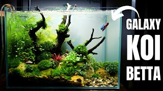 AQUASCAPE TUTORIAL Planted NANO BETTA TANK For a Special Betta [upl. by Evatsug3]