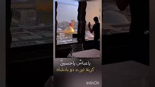 Karbala tere domesumabbas nadeemsarwar noha diari [upl. by Ahsined]