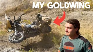 Honda Goldwing vs 450  Hillclimb Challenge [upl. by Yddur]