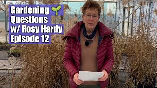 Gardening Questions w Rosy Hardy  Episode 12 [upl. by Orlantha581]