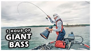 Fishing For CRAZY UNTOUCHED Bass 1 Hour UNCUT Fishing Tips [upl. by Joly]