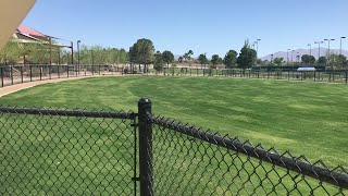 New Las Vegas dog park to open at Lone Mountain Regional Park [upl. by Doone]