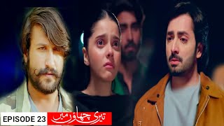 Teri Chhaon Mein Last Episode Review  Salar wadeema Tak Punch Gya Danish Taimoor  Laiba Khurram [upl. by Nolie]