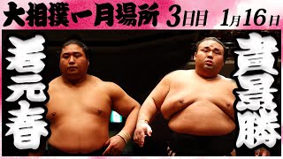 大相撲 若元春ー貴景勝 ＜令和６年一月場所・３日目＞SUMO [upl. by Colyer]