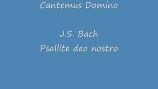 Cantemus Domino Psallite deo nostro JSBach [upl. by Siubhan]