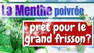 Comment mieux gérer la douleur et plus grâce à lhuile Essentielle de Menthe poivrée [upl. by Nerrag]