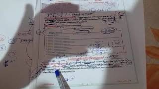 Streptococcus pyogenes [upl. by Borchers156]