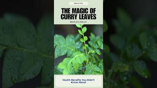 The Magic of Curry Leaves Health Benefits You Didn’t Know About [upl. by Ariane]