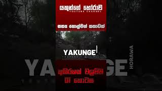 අභිරහස් වලව්ව 01 කොටස  sinhala holman katha horrorstories viral foryou ghost storytime [upl. by Ciapha919]